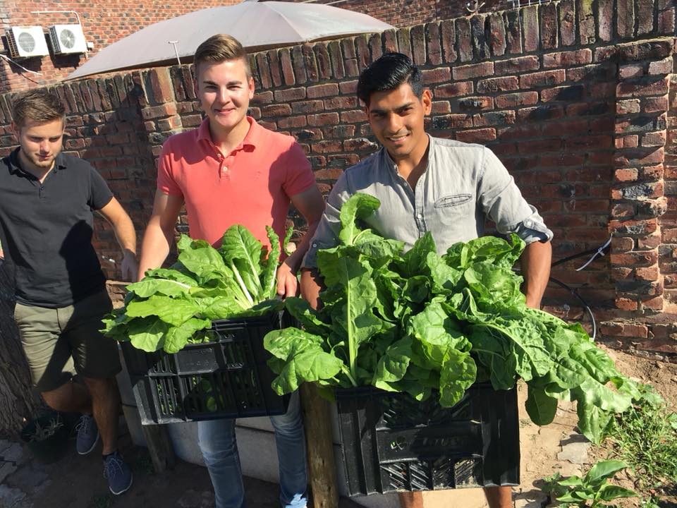 Volunteers holding fresh garden greens