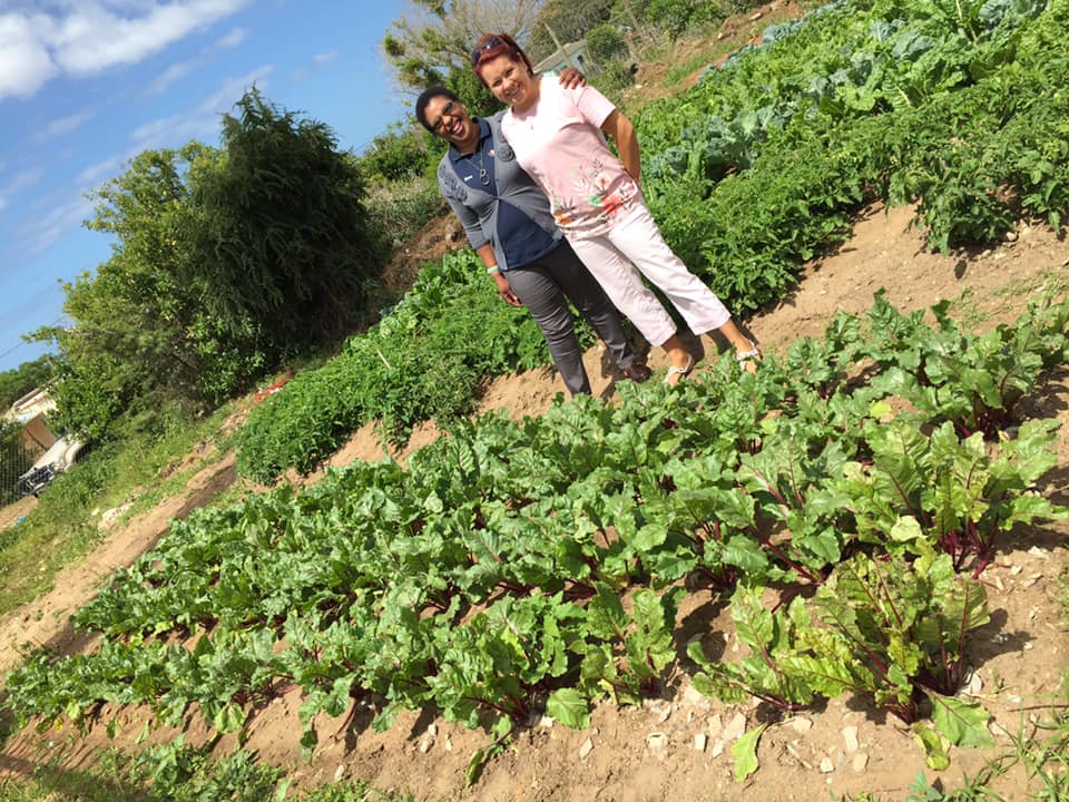 Community garden visit